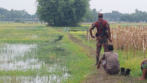 পঞ্চগড়ের বড়বাড়ি সীমান্তে নারী ও শিশুসহ ১০ জনকে পুশইনের চেষ্টা