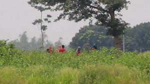 খোলা আকাশের নিচে ৩ দিন ধরে ১২ জন, সীমান্তে পুশইন জটিলতা অমীমাংসিত