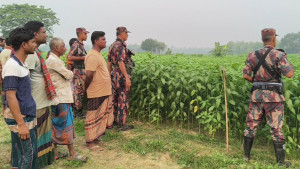 গাংনী সীমান্তে আবারও ৩ জনকে পুশইনের চেষ্টা, বিজিবির প্রতিরোধ