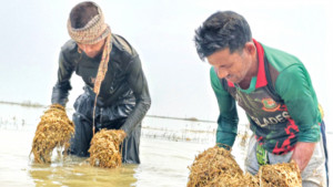 ‘আমরার নাম লিস্টিত দিছে না’