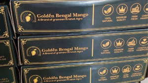 নওগাঁর আমের বিশ্বজয়, যুক্তরাষ্ট্রে রপ্তানি শুরু