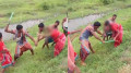 নোয়াখালীতে প্রকাশ্যে নারীকে পেটালেন যুবদল নেতা, ভিডিও ভাইরাল