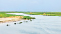 হাওরের গলার কাঁটা বাঁধ
