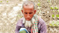 তিন বেলা খাবার জোগাড়ই অনেকের জন্য কঠিন