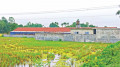 ৩১৬ একর জমি প্রভাবশালীদের দখলে