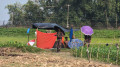 শূন্যরেখায় পাঁচজন, আরও পুশইনের চেষ্টা