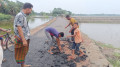 ঢালাইয়ের তিন দিন পর হাতে উঠে এলো পিচ