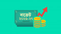 এই বাজেট কথার ফুলঝুড়ি ও রাজনৈতিক চমকবাজি 