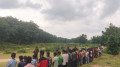 তেলিয়াপাড়া সীমান্তে পুশইনের চেষ্টা বিএসএফের, বিজিবির বাধা