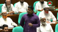 এক টাকার দুর্নীতি প্রমাণ করতে পারলে পদত্যাগ করব: সংসদে হাসনাত