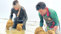 ‘আমরার নাম লিস্টিত দিছে না’