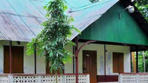 সংরক্ষণ ও স্মৃতিসৌধ নির্মাণের দাবি