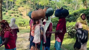 নারী দিবসের বাইরে নেই শ্রমজীবী নারীর গল্প