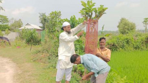 গাছকে সন্তানের মতো আগলে রাখেন শিক্ষক মোস্তাক