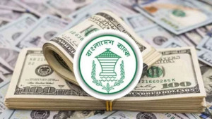 মার্চের ২৮ দিনে এলো ৩৩৩ কোটি ডলারের বেশি
