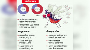 নগরে এক বছরে মশার দ্বিগুণ লার্ভা