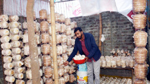 খড় আর ধানের তুষ এনে দিয়েছে সচ্ছলতা