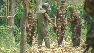 চুয়াডাঙ্গায় ফসলের খেতে পাওয়া ৭ ল্যান্ডমাইন নিষ্ক্রিয় করলো সেনাবাহিনী