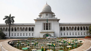 অনাগত শিশুর লিঙ্গ নির্ধারণ ও প্রকাশ করা কন্যাশিশু হত্যার প্রবণতা বাড়িয়ে দেয় 