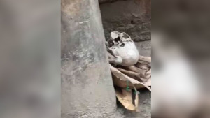 মোহাম্মদপুরে রাস্তার পাশ থেকে খুলি–হাড় উদ্ধার
