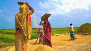 পুরুষের মজুরি যেখানে ১০০ টাকা, নারীর ৮৫