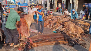 ৩০০ টাকায় কিনে বেচতে হলো ১০০ টাকা