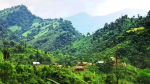 ঘুমধুম সীমান্তে পুঁতে রাখা মাইন বিস্ফোরণে নিহত ৩