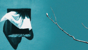 নির্জনতার যৎসামান্য