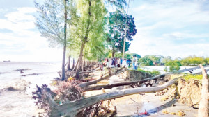 এক প্রকল্পে ঘুরবে  ৯ খাতের চাকা