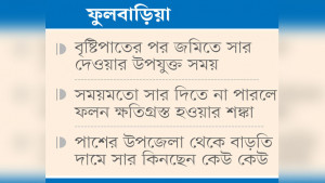 চাহিদার তুলনায় বরাদ্দ কম, ইউরিয়া পাচ্ছেন না চাষিরা