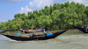 সুন্দরবনে দুদিনে ২২ জেলেকে অপহরণ