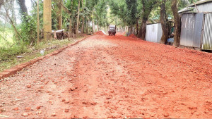 পাঁচ মাসেও হয়নি চার কিমি সড়ক সংস্কার