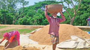 ঋণ আতঙ্কে কৃষক, বাড়ি ছাড়ার চিন্তা