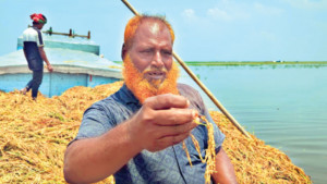 কষ্টটা অইলো, খলাত কিছু ধান আইন্নাও শুকাইতে পারলাম না