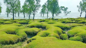 গুলিয়াখালী সৈকতে ঢাকার ৮ পর্যটকের ওপর হামলা