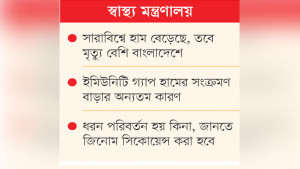 হামে মৃত্যুর পেছনে অবহেলা কিনা তদন্ত করছে সরকার
