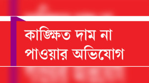 কওমি মাদ্রাসাগুলো এবার চামড়া নেবে না