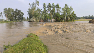 ঢলে বাঁধ ভেঙে লোকালয়ে পানি