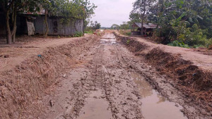 হাওরপারের রাস্তা খুঁড়ে ঠিকাদার  উধাও, বোরো ধান বহনে দুর্ভোগ