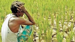 কৃষিবিজ্ঞানীদের পেশা বা দেশ ছাড়ার পরিণাম