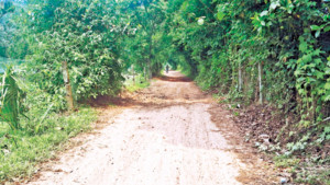 ঠিকাদার লাপাত্তা, শতকোটি  টাকার উন্নয়নকাজ বন্ধ