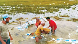 এখনও পানির নিচে অনেক ক্ষেত