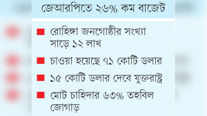 বাড়ছে রোহিঙ্গার সংখ্যা,  কমছে বাজেট