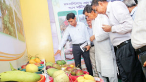 বিশ্ববাজারে দেশের আমের ঘ্রাণ