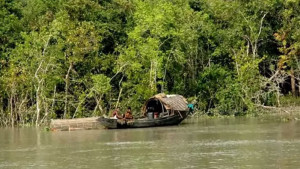সুন্দরবন বোর্ড গঠন ও নৌযান বন্ধের দাবি
