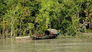 সুন্দরবনে প্রবেশে তিন মাসের নিষেধাজ্ঞা শুরু সোমবার