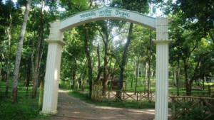 বনদস্যুর দৌরাত্ম্যে হুমকির মুখে জাতীয় উদ্যান
