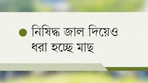 শঙ্খে বিষ, মাছের দফারফা