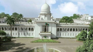 হামে শিশুদের বাঁচাতে সরকারের পদক্ষেপ জানতে চান হাইকোর্ট