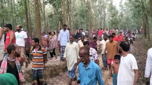 গাজীপুরে গরুচোর সন্দেহে ৩ জনকে পিটিয়ে হত্যা, ট্রাকে আগুন